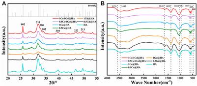 Synthesis of Ce/Gd@HA/PLGA Scaffolds Contributing to Bone Repair and MRI Enhancement